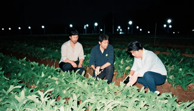 农机种植技术指导的5大检查要点与适用条件分析